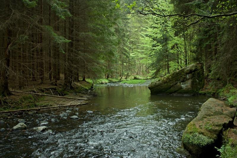 Ubytovani U Potoka Kunratice  Luaran gambar